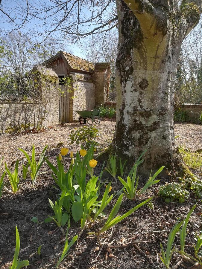 Maison Angulus Ridet Montcresson Εξωτερικό φωτογραφία